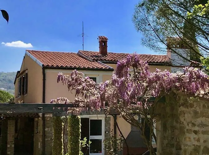 Daire Boreas Strunjan